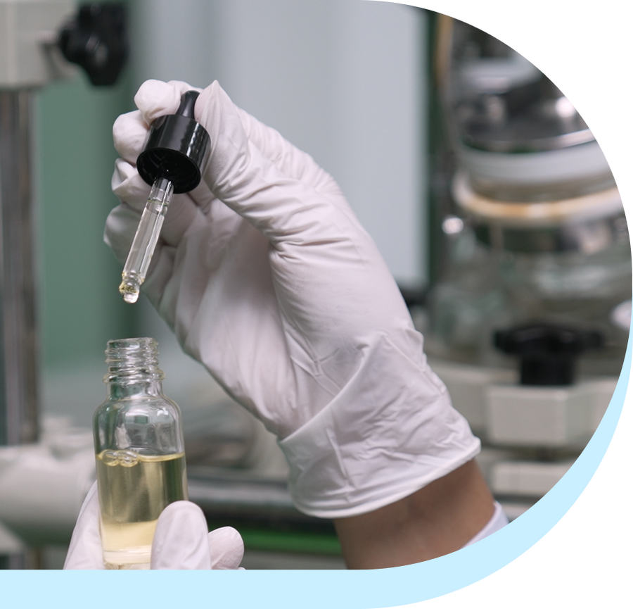 Your Journey Continues Here: