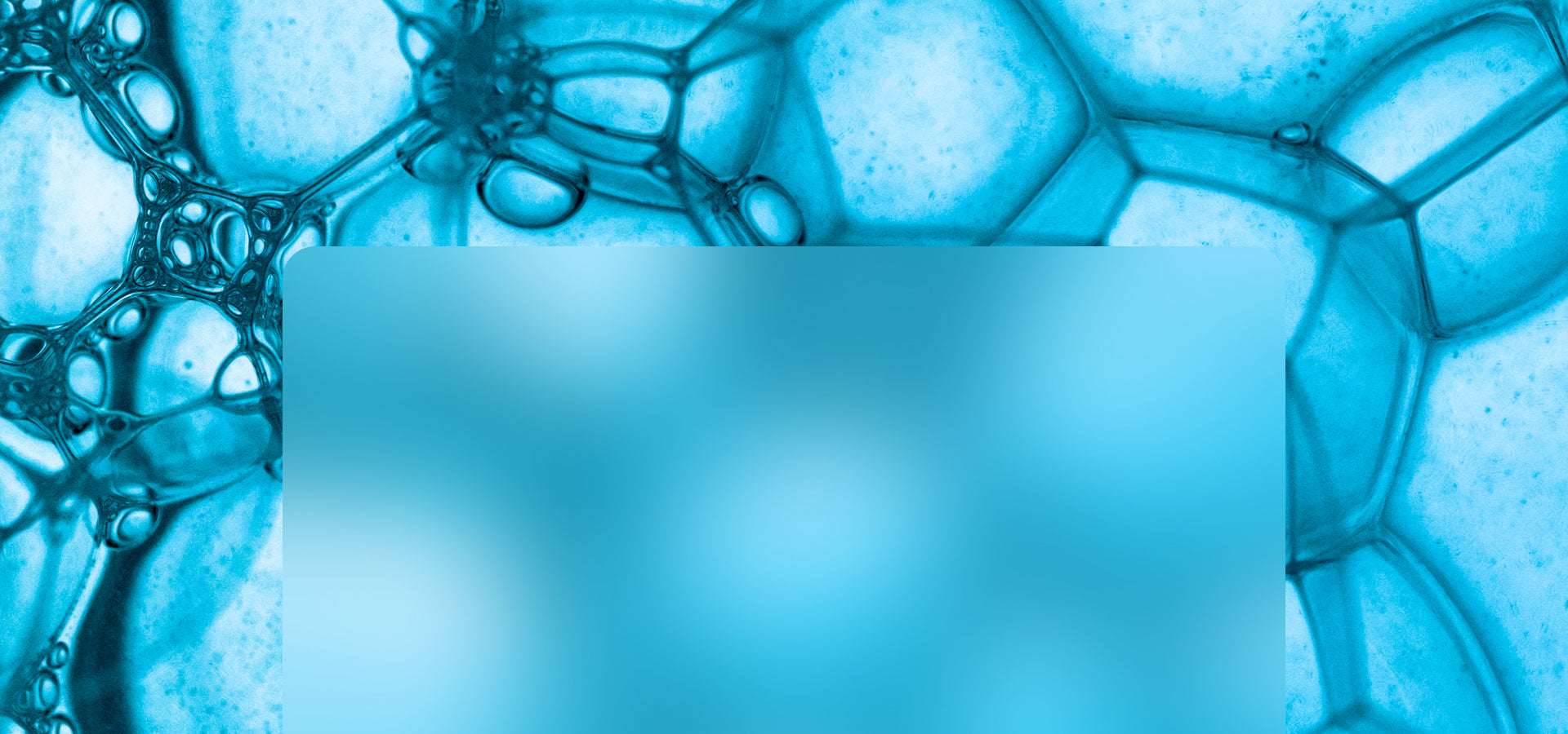 Desktop Slider Image