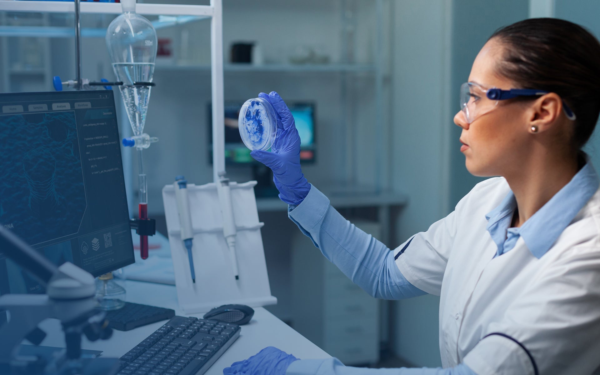 Desktop Slider Image